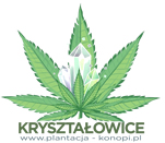 Terapeuci.plantacja-konopi.pl