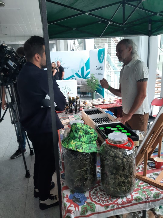 olejek cbd z plantacja konopi 030