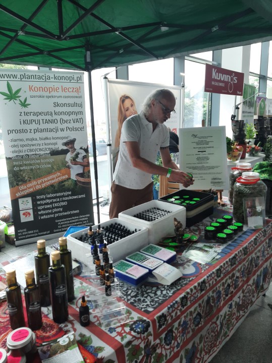 olejek cbd z plantacja konopi 033