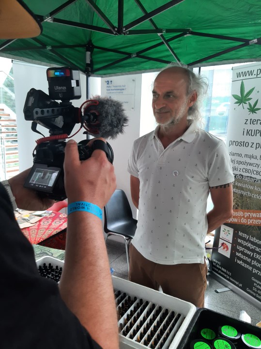 olejek cbd z plantacja konopi 038